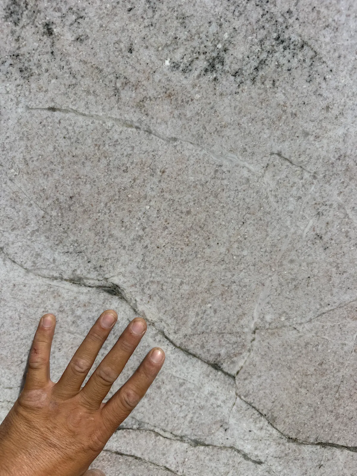 Calacatta Amala — JW Stone Logistics material photo 1