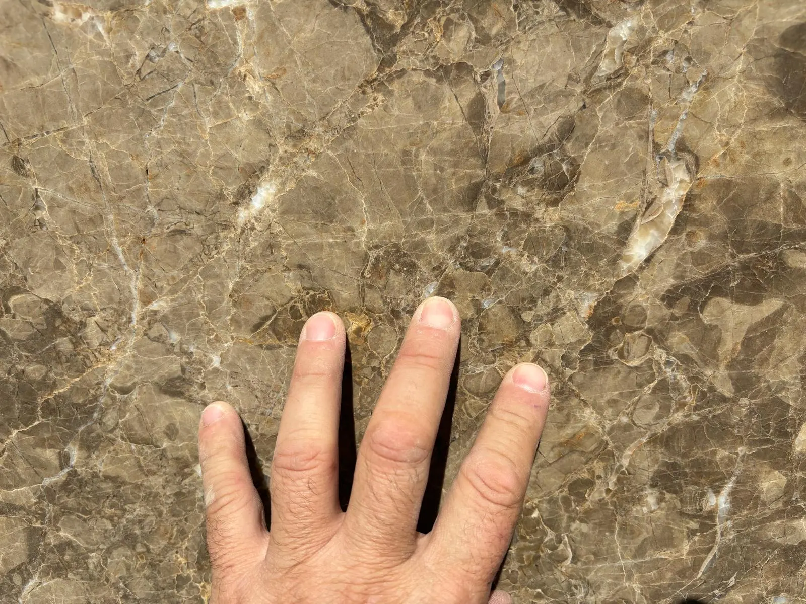 Emperor Brown — JW Stone Logistics material photo 1
