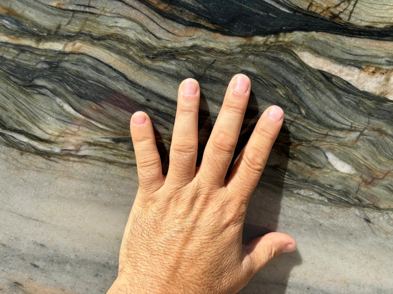 Fusion Yellow — JW Stone Logistics material photo 1