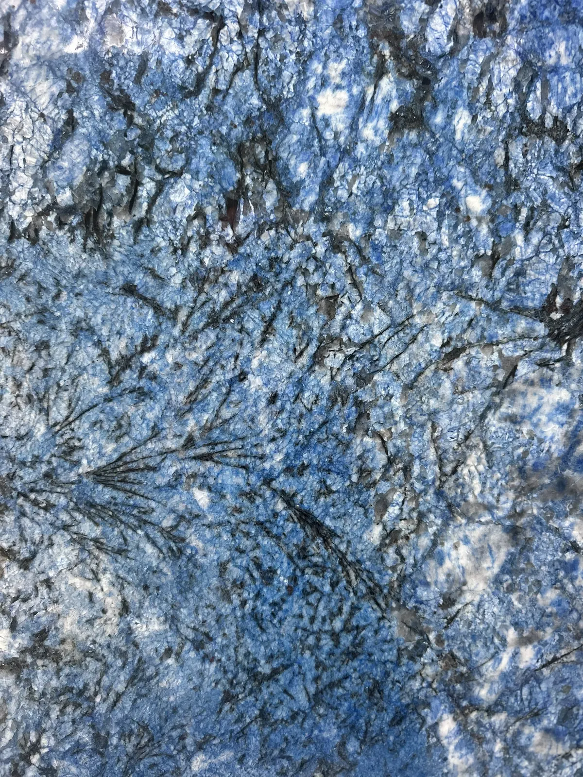Blue Goias — JW Stone Logistics material photo 1