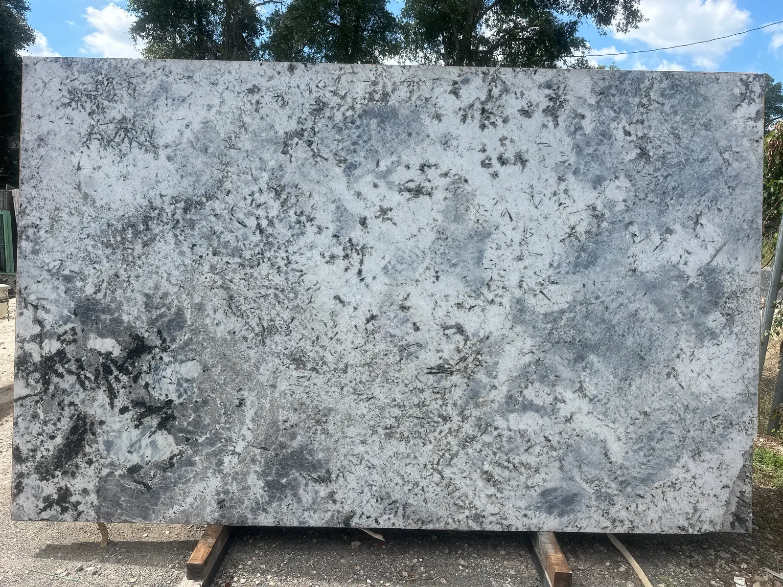 Blue Flower — JW Stone Logistics material photo 1